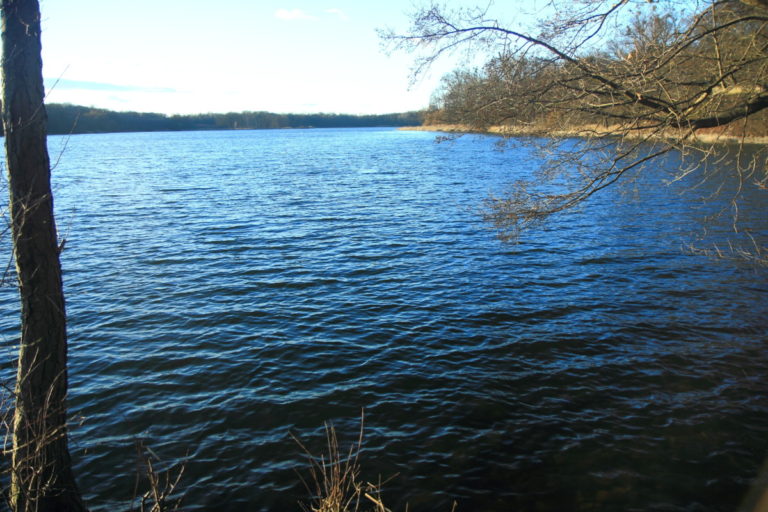 Zwiastuny wiosny